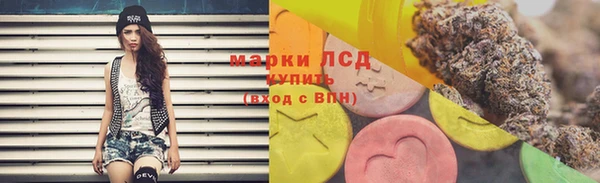 индика Богородск