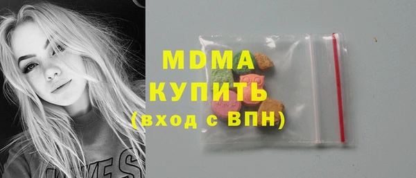 индика Богородск