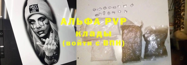 индика Богородск