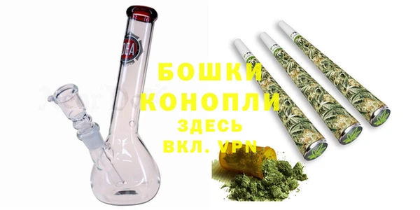 индика Богородск