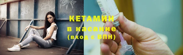 индика Богородск