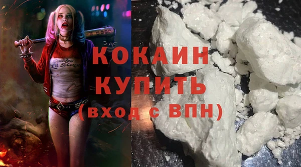 индика Богородск