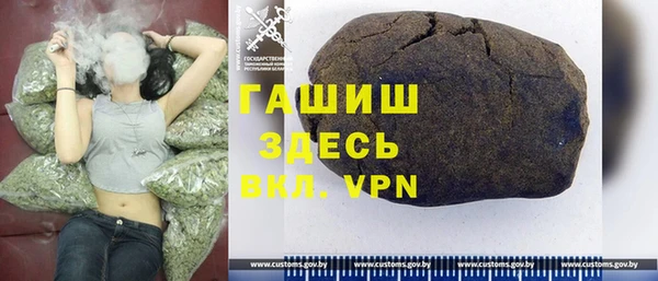 индика Богородск