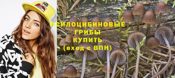 индика Богородск