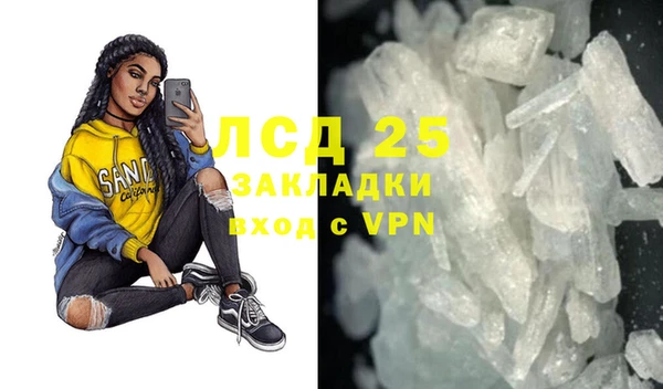 индика Богородск