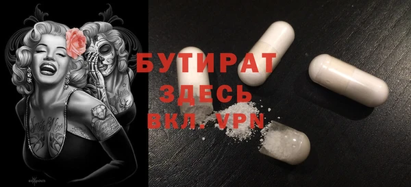 индика Богородск