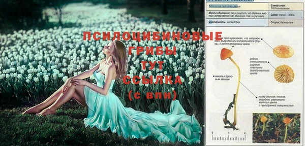 метамфетамин Богородицк