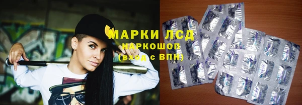 индика Богородск