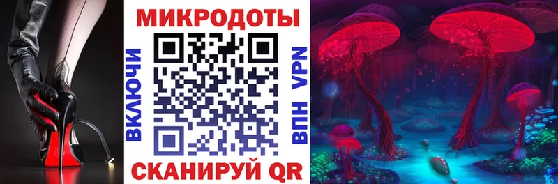 Псилоцибиновые грибы Psilocybe Красновишерск